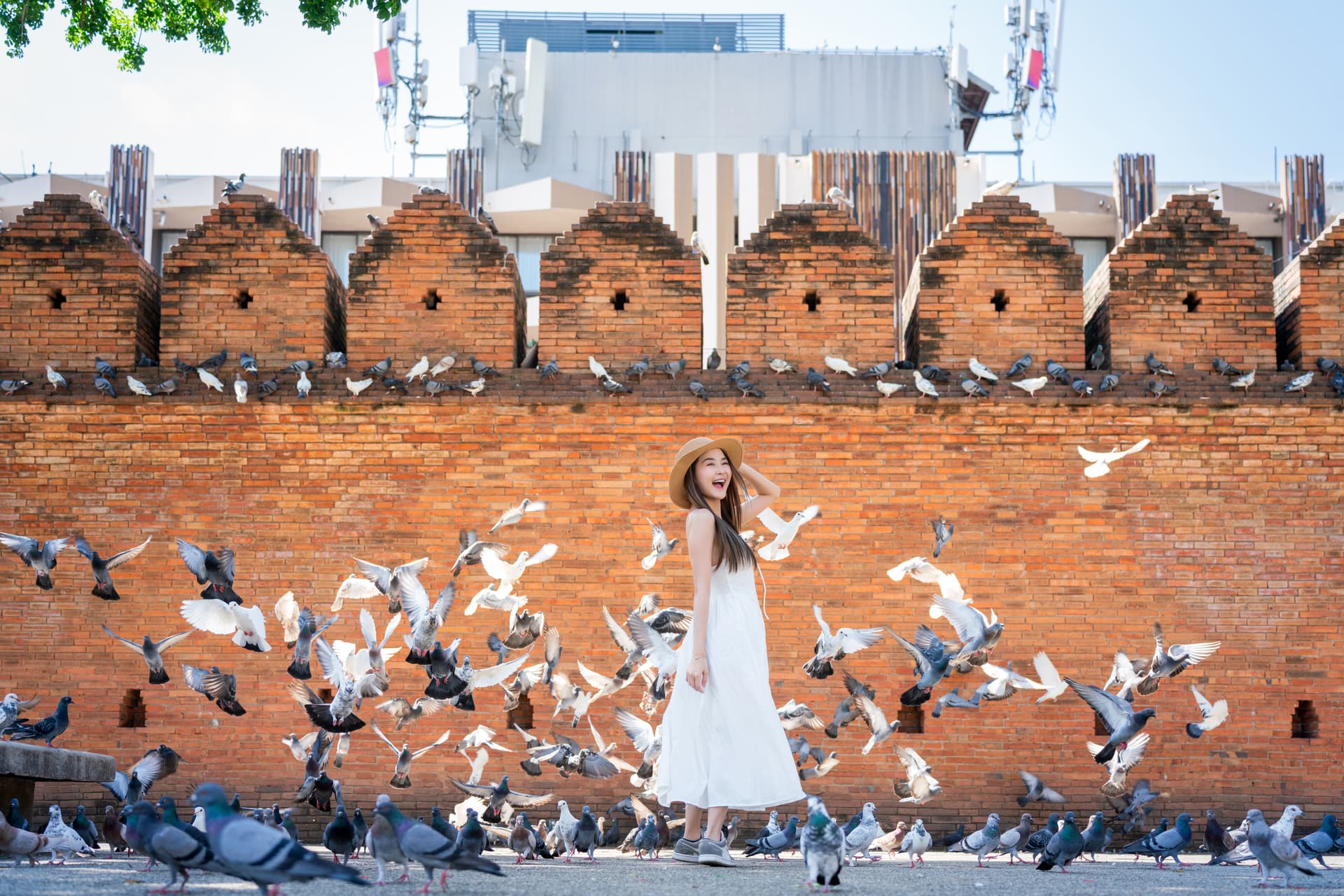 Calm Chiang Mai Retreat